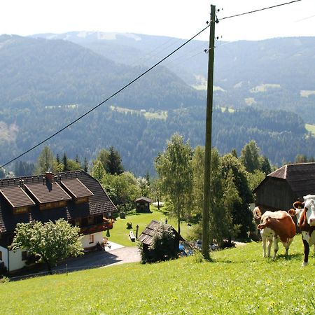 Ferienwohnung Lahnerhof Arriach Kültér fotó