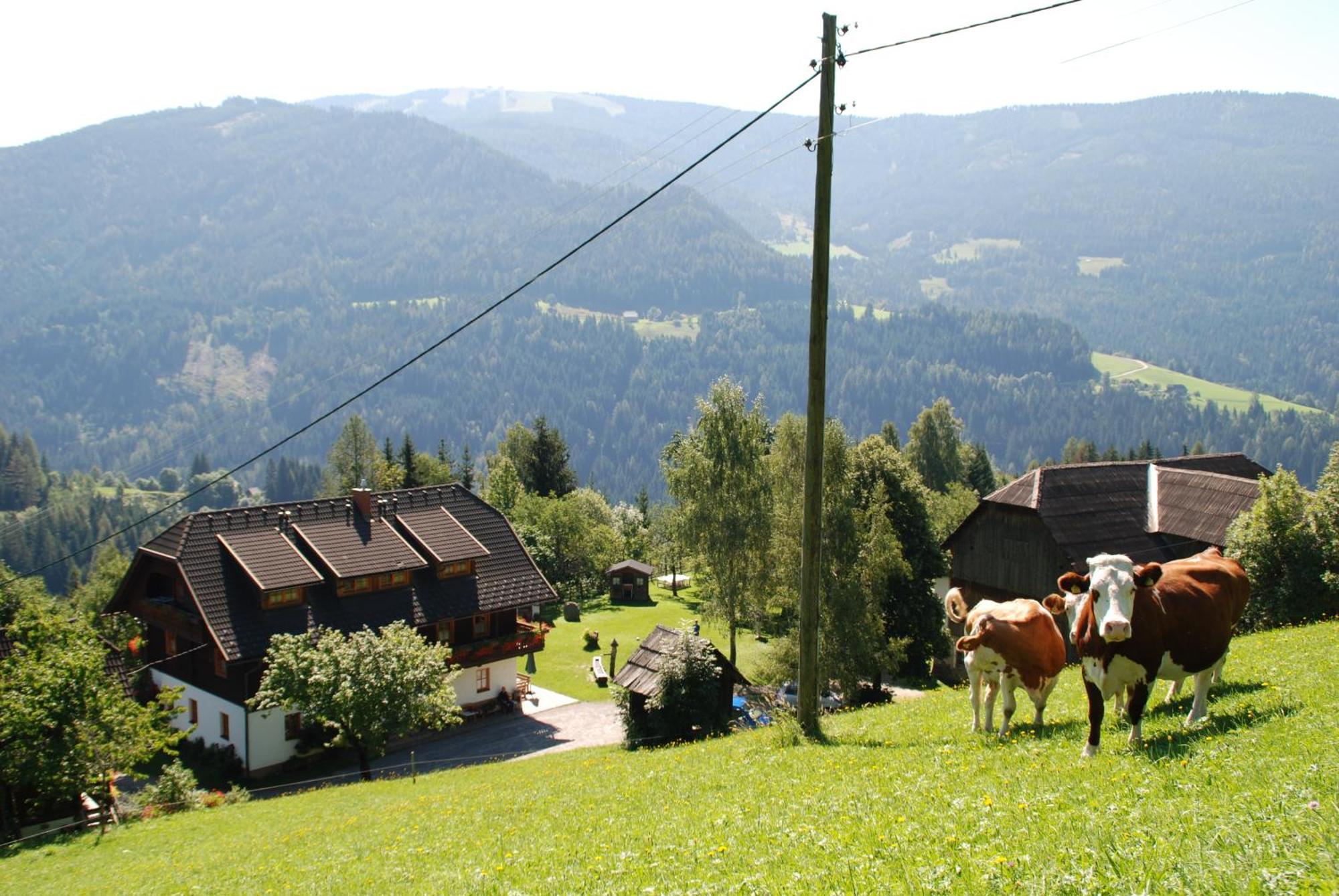 Ferienwohnung Lahnerhof Arriach Kültér fotó