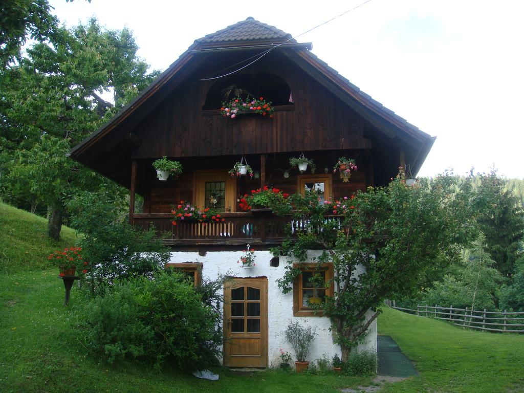 Ferienwohnung Lahnerhof Arriach Kültér fotó