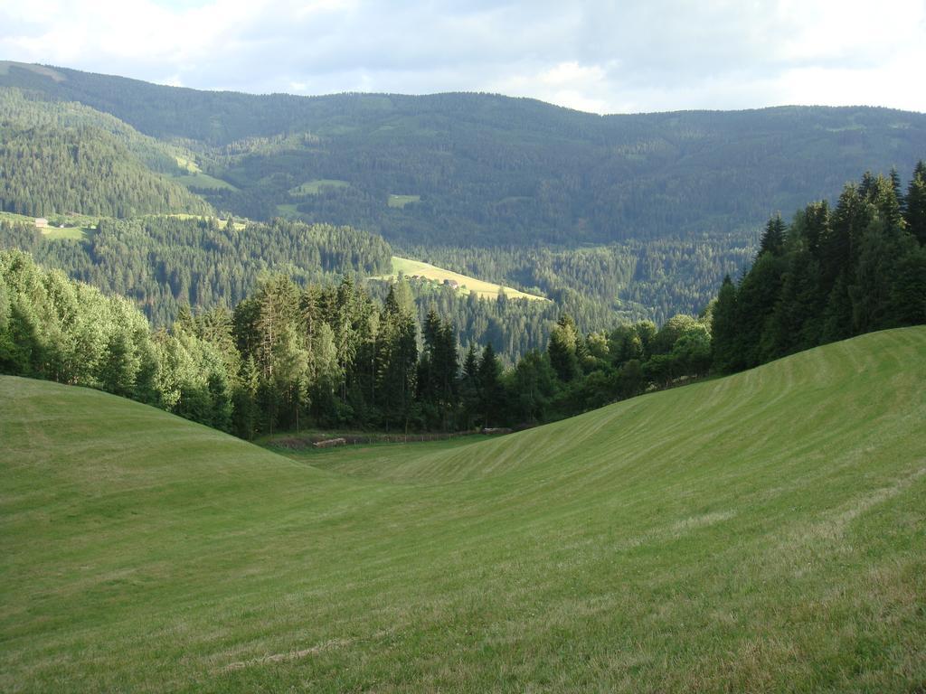 Ferienwohnung Lahnerhof Arriach Kültér fotó