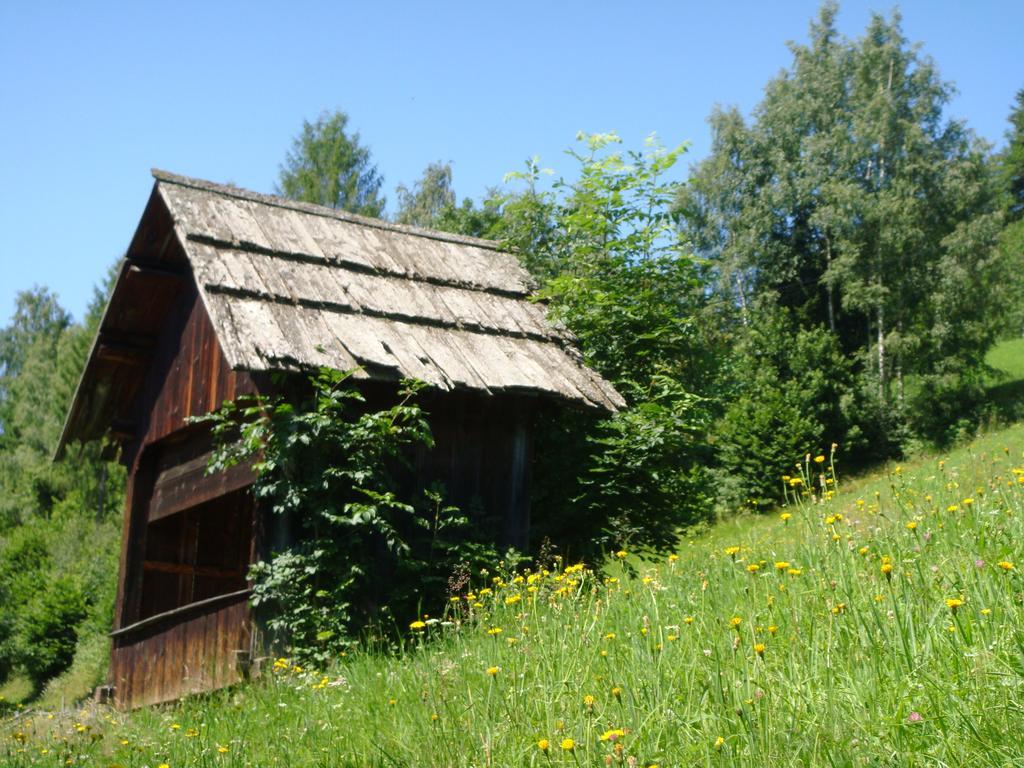 Ferienwohnung Lahnerhof Arriach Kültér fotó