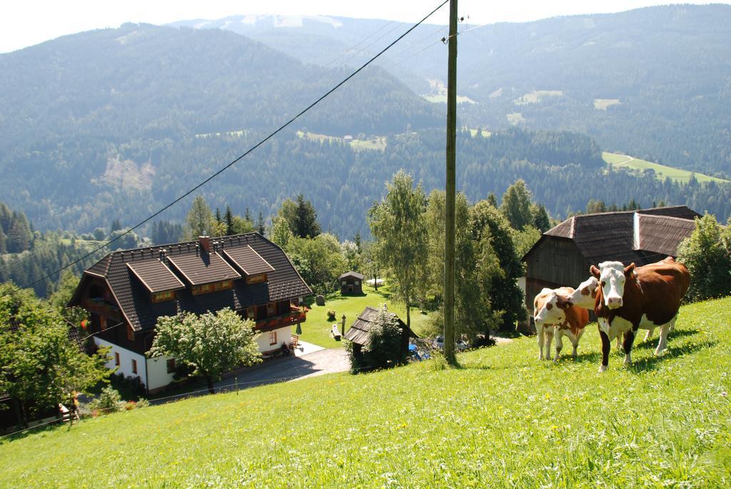 Ferienwohnung Lahnerhof Arriach Kültér fotó