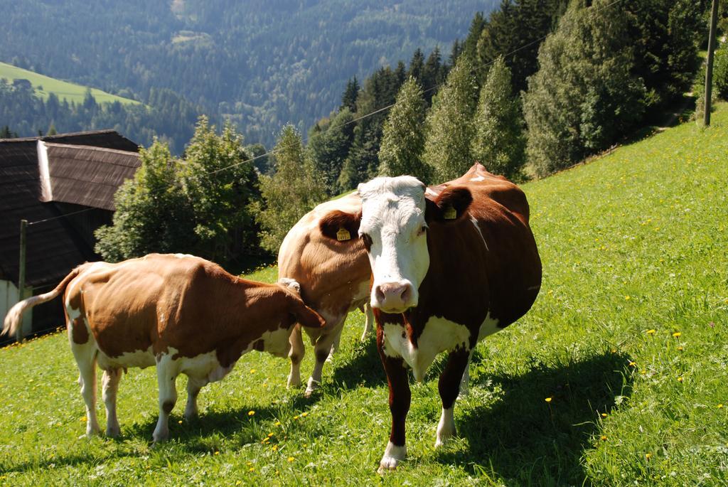 Ferienwohnung Lahnerhof Arriach Kültér fotó